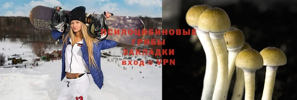 a pvp Беломорск