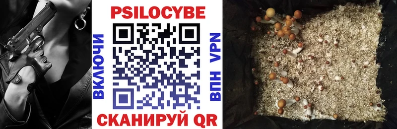 Галлюциногенные грибы прущие грибы  Вязьма 