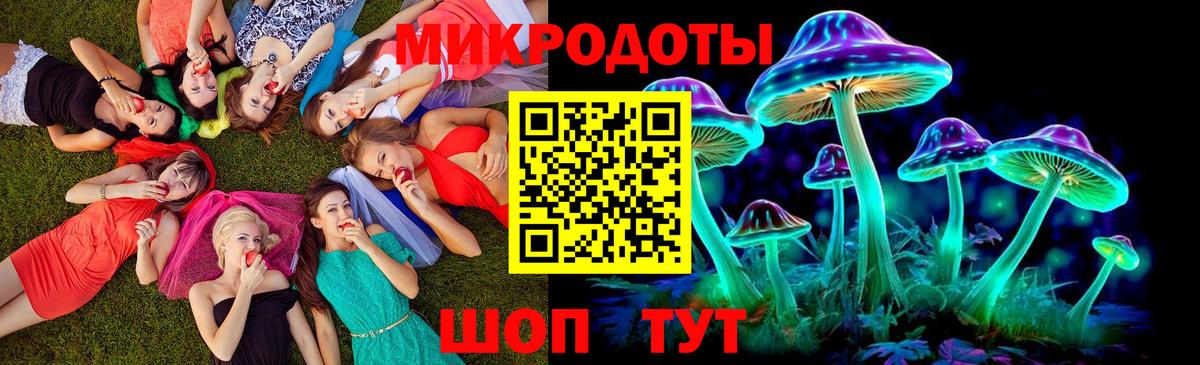 Галлюциногенные грибы GOLDEN TEACHER  Вязьма  Псилоцибиновые грибы Psilocybe 