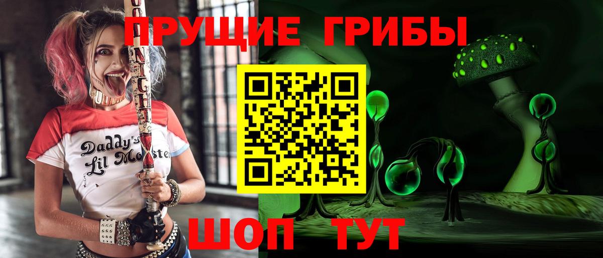 Псилоцибиновые грибы прущие грибы Вязьма