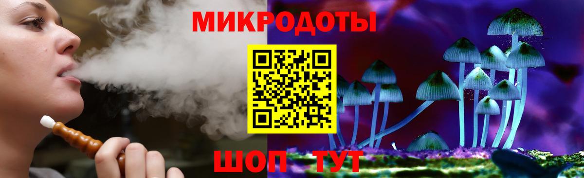 Галлюциногенные грибы Psilocybe  Псилоцибиновые грибы прущие грибы  Вход с VPN  Вязьма 